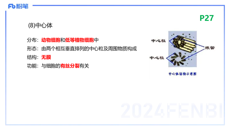 1.18晚-细胞生物学1-拾光_4-教培资料-26年最新资料-同步更新_科一科二电子资料合集中小幼（笔记真题知识点汇总等）文件多，按需保存_各机构笔记合集（中小幼）推荐_01理论精讲