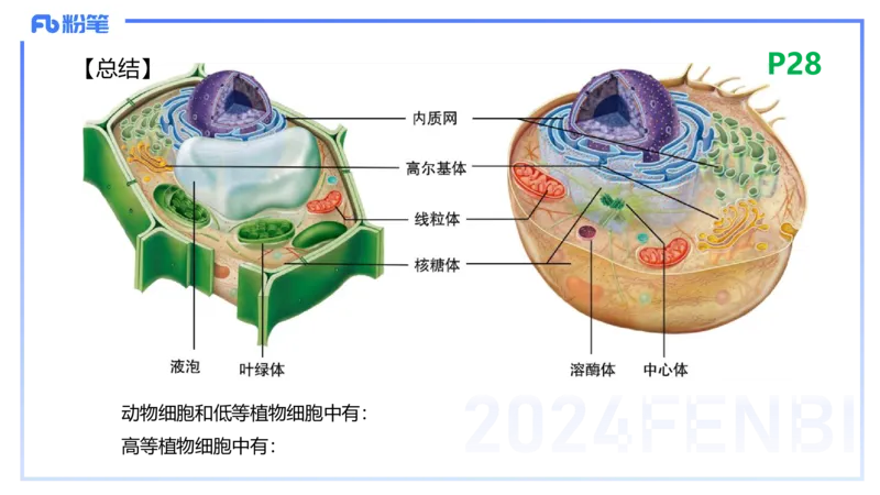 1.18晚-细胞生物学1-拾光_4-教培资料-26年最新资料-同步更新_科一科二电子资料合集中小幼（笔记真题知识点汇总等）文件多，按需保存_各机构笔记合集（中小幼）推荐_01理论精讲