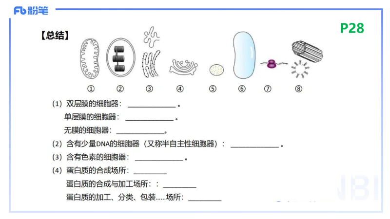 1.18晚-细胞生物学1-拾光_4-教培资料-26年最新资料-同步更新_科一科二电子资料合集中小幼（笔记真题知识点汇总等）文件多，按需保存_各机构笔记合集（中小幼）推荐_01理论精讲