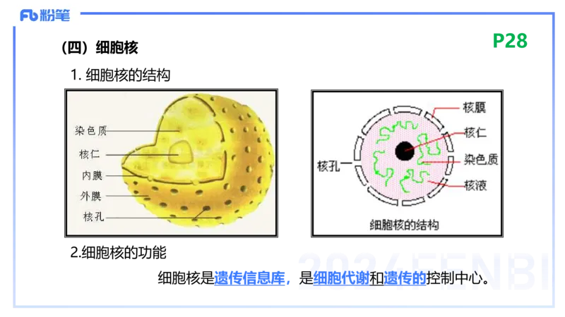 1.18晚-细胞生物学1-拾光_4-教培资料-26年最新资料-同步更新_科一科二电子资料合集中小幼（笔记真题知识点汇总等）文件多，按需保存_各机构笔记合集（中小幼）推荐_01理论精讲