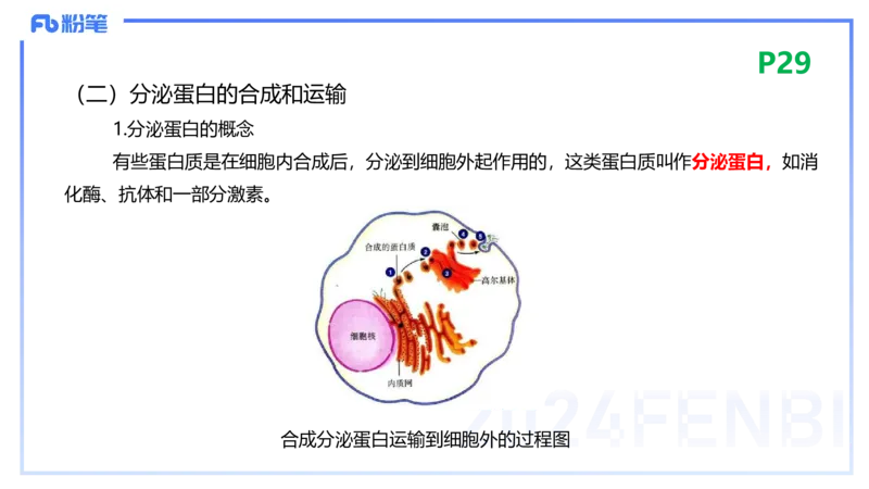 1.18晚-细胞生物学1-拾光_4-教培资料-26年最新资料-同步更新_科一科二电子资料合集中小幼（笔记真题知识点汇总等）文件多，按需保存_各机构笔记合集（中小幼）推荐_01理论精讲