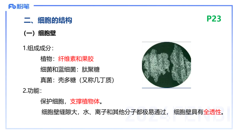 1.18晚-细胞生物学1-拾光_4-教培资料-26年最新资料-同步更新_科一科二电子资料合集中小幼（笔记真题知识点汇总等）文件多，按需保存_各机构笔记合集（中小幼）推荐_01理论精讲