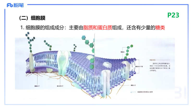 1.18晚-细胞生物学1-拾光_4-教培资料-26年最新资料-同步更新_科一科二电子资料合集中小幼（笔记真题知识点汇总等）文件多，按需保存_各机构笔记合集（中小幼）推荐_01理论精讲