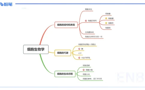 1.18晚-细胞生物学1-拾光_4-教培资料-26年最新资料-同步更新_科一科二电子资料合集中小幼（笔记真题知识点汇总等）文件多，按需保存_各机构笔记合集（中小幼）推荐_01理论精讲