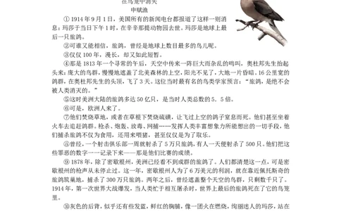 2010年福建省厦门市中考语文真题及答案_中考真题_1.语文中考真题2015-2024年_地区卷_福建省_福建中考语文08-22