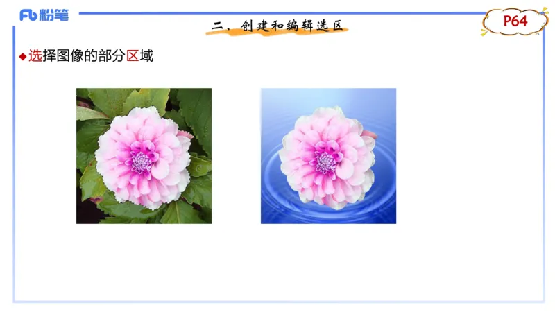 1.21早-理论精讲-多媒体技术2-钮弘俊_4-教培资料-26年最新资料-同步更新_科一科二电子资料合集中小幼（笔记真题知识点汇总等）文件多，按需保存_各机构笔记合集（中小幼）推荐