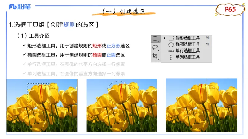 1.21早-理论精讲-多媒体技术2-钮弘俊_4-教培资料-26年最新资料-同步更新_科一科二电子资料合集中小幼（笔记真题知识点汇总等）文件多，按需保存_各机构笔记合集（中小幼）推荐
