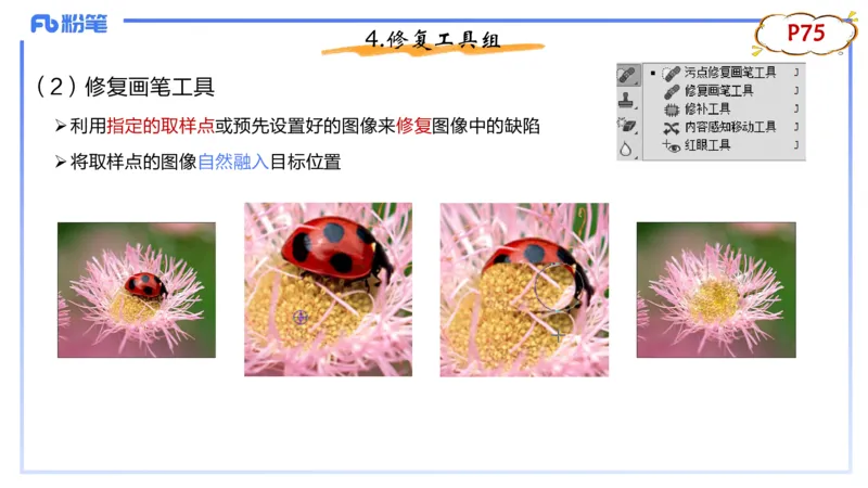 1.21早-理论精讲-多媒体技术2-钮弘俊_4-教培资料-26年最新资料-同步更新_科一科二电子资料合集中小幼（笔记真题知识点汇总等）文件多，按需保存_各机构笔记合集（中小幼）推荐