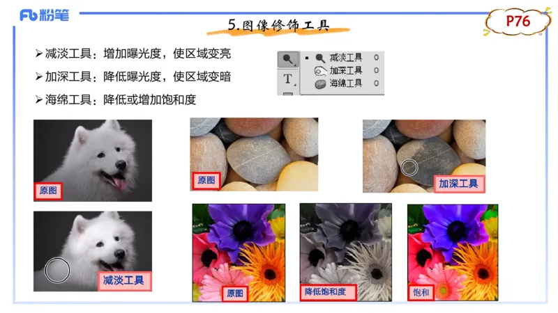 1.21早-理论精讲-多媒体技术2-钮弘俊_4-教培资料-26年最新资料-同步更新_科一科二电子资料合集中小幼（笔记真题知识点汇总等）文件多，按需保存_各机构笔记合集（中小幼）推荐