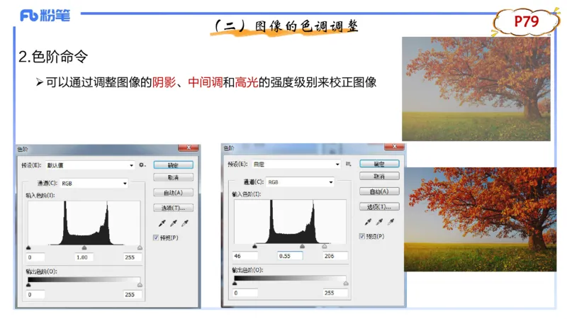 1.21早-理论精讲-多媒体技术2-钮弘俊_4-教培资料-26年最新资料-同步更新_科一科二电子资料合集中小幼（笔记真题知识点汇总等）文件多，按需保存_各机构笔记合集（中小幼）推荐