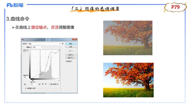 1.21早-理论精讲-多媒体技术2-钮弘俊_4-教培资料-26年最新资料-同步更新_科一科二电子资料合集中小幼（笔记真题知识点汇总等）文件多，按需保存_各机构笔记合集（中小幼）推荐