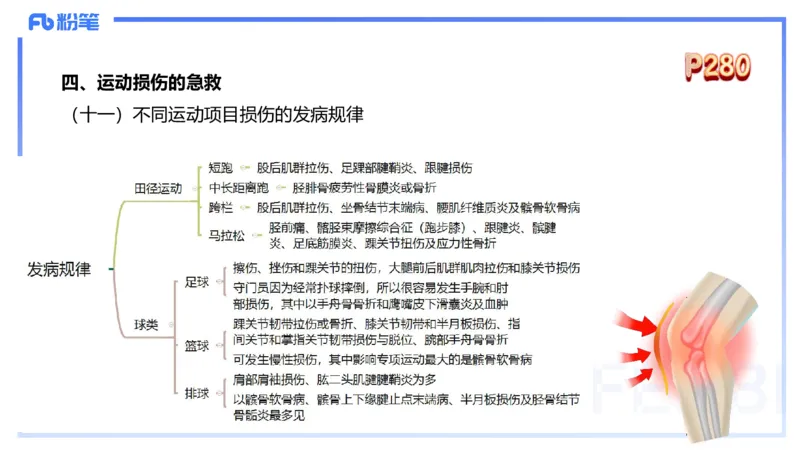 1.28晚-理论精讲-体育保健学3-王传世+_4-教培资料-26年最新资料-同步更新_科一科二电子资料合集中小幼（笔记真题知识点汇总等）文件多，按需保存_各机构笔记合集（中小幼）推荐