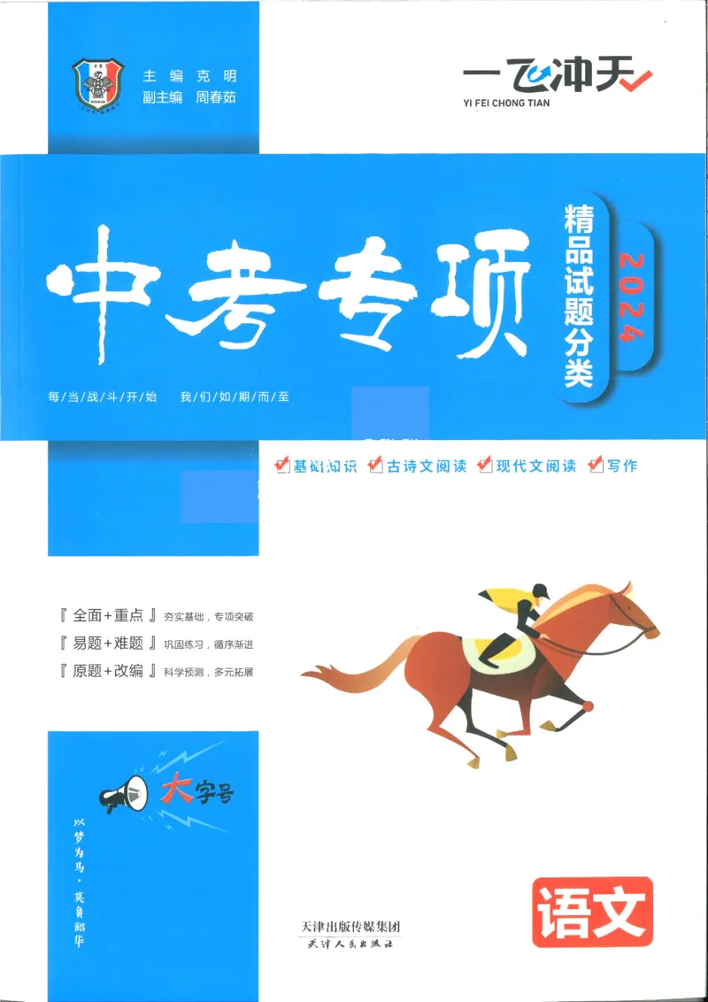 一飞冲天-中考专项精品试题分类-语文_《一飞冲天-中考专项》2026版_一飞冲天-中考专项精品试题分类（2024版）