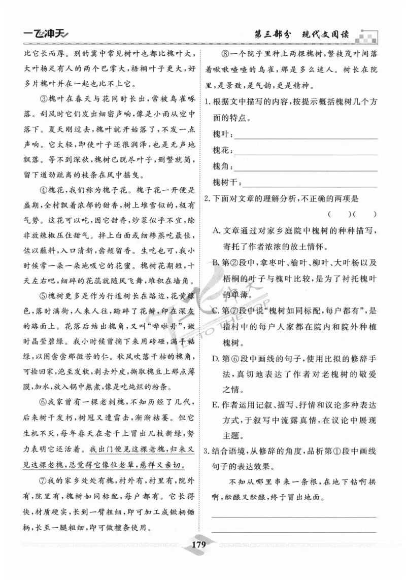 一飞冲天-中考专项精品试题分类-语文_《一飞冲天-中考专项》2026版_一飞冲天-中考专项精品试题分类（2024版）