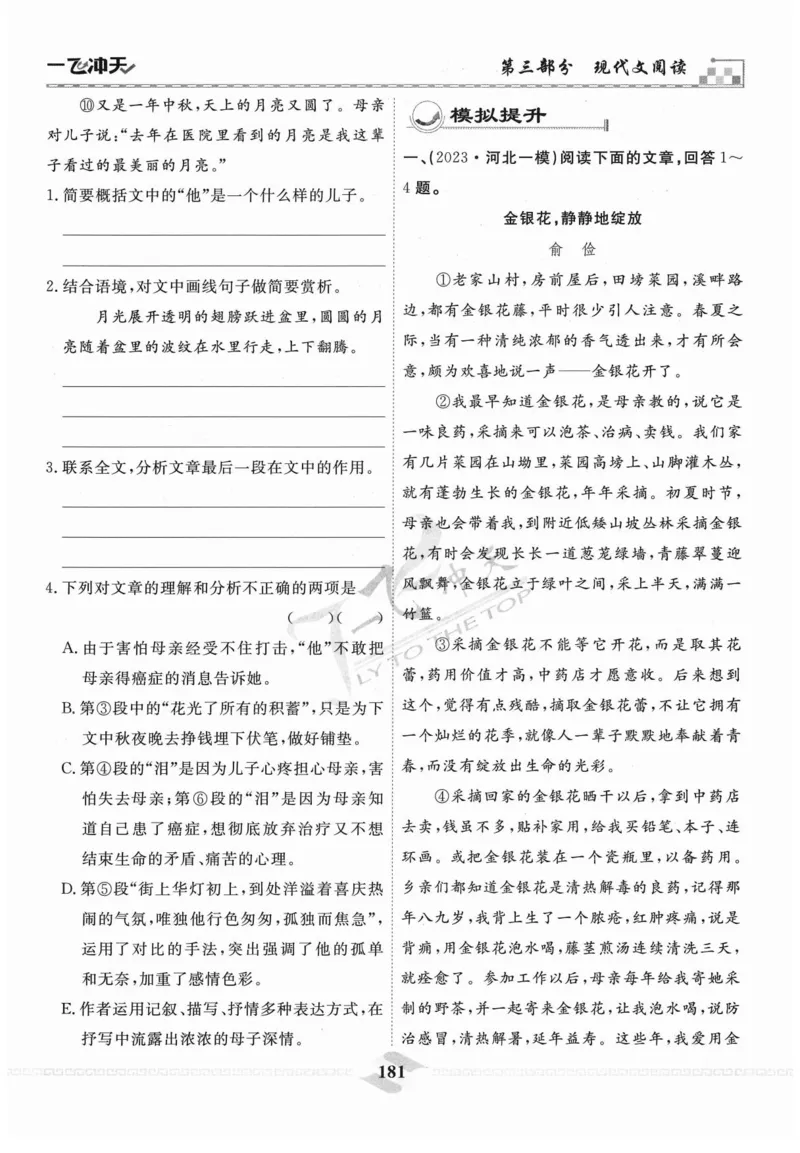 一飞冲天-中考专项精品试题分类-语文_《一飞冲天-中考专项》2026版_一飞冲天-中考专项精品试题分类（2024版）