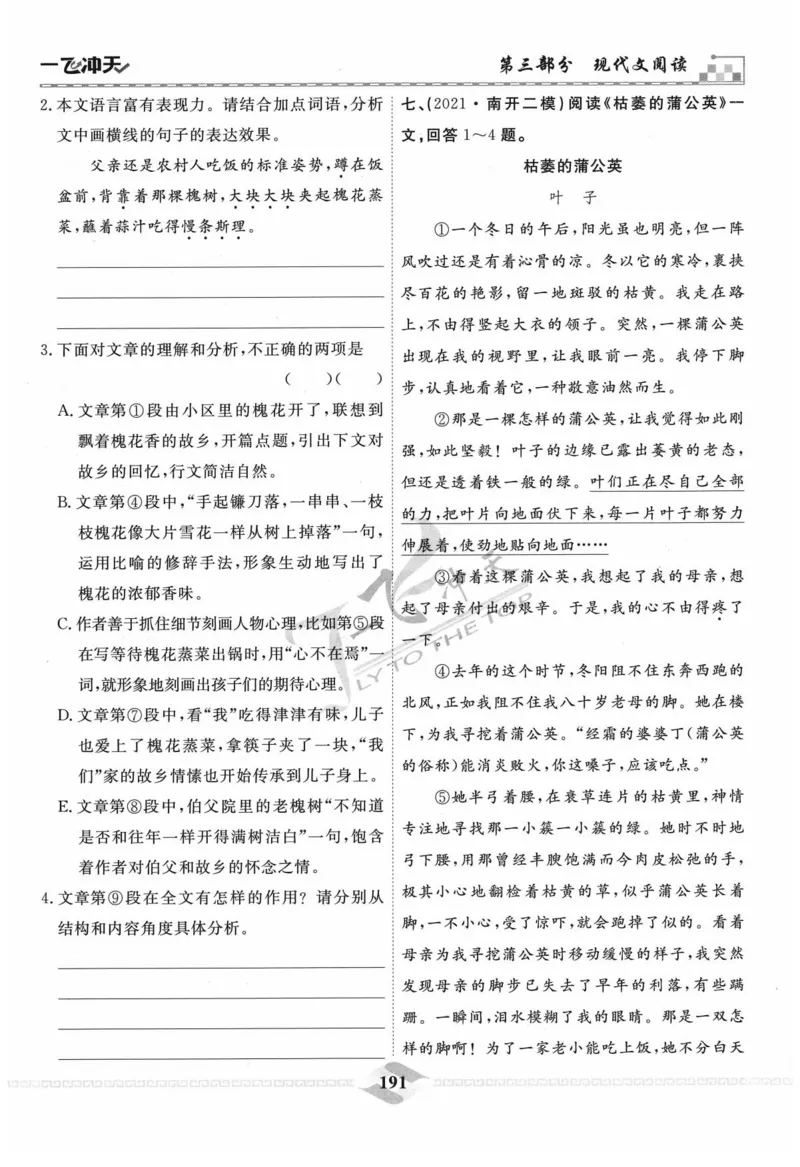 一飞冲天-中考专项精品试题分类-语文_《一飞冲天-中考专项》2026版_一飞冲天-中考专项精品试题分类（2024版）