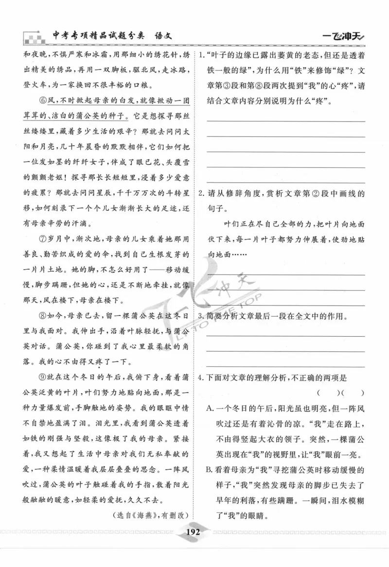 一飞冲天-中考专项精品试题分类-语文_《一飞冲天-中考专项》2026版_一飞冲天-中考专项精品试题分类（2024版）