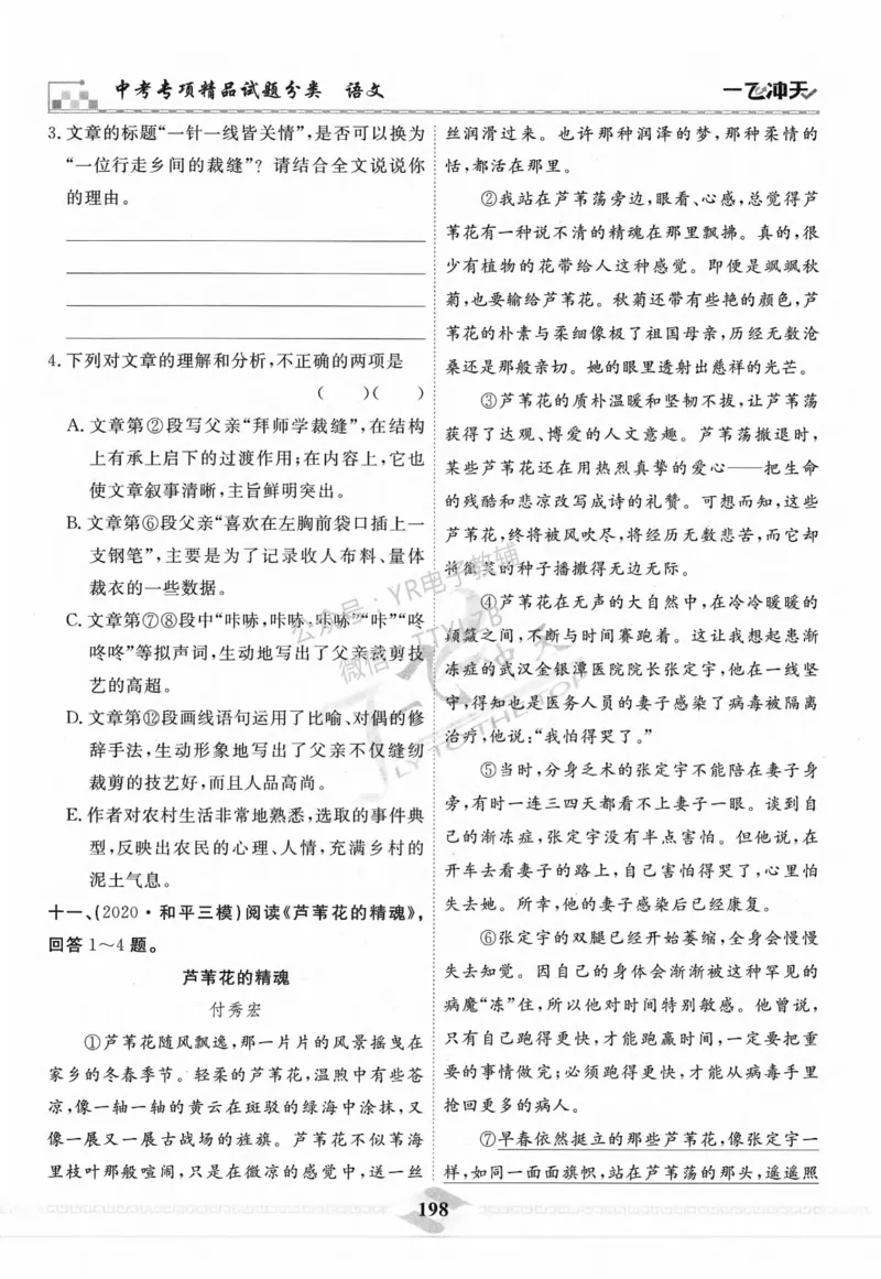 一飞冲天-中考专项精品试题分类-语文_《一飞冲天-中考专项》2026版_一飞冲天-中考专项精品试题分类（2024版）
