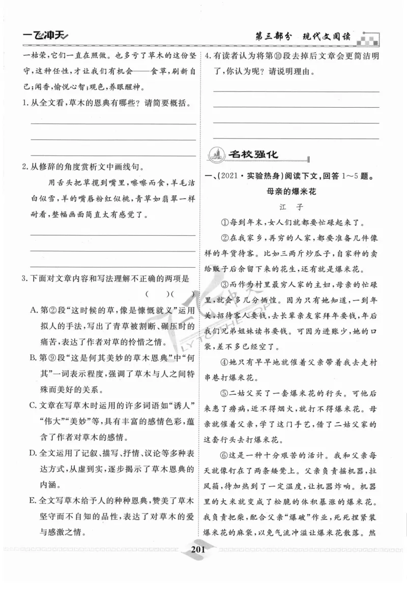 一飞冲天-中考专项精品试题分类-语文_《一飞冲天-中考专项》2026版_一飞冲天-中考专项精品试题分类（2024版）