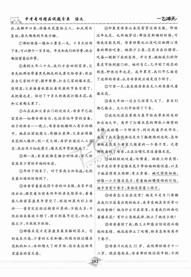 一飞冲天-中考专项精品试题分类-语文_《一飞冲天-中考专项》2026版_一飞冲天-中考专项精品试题分类（2024版）