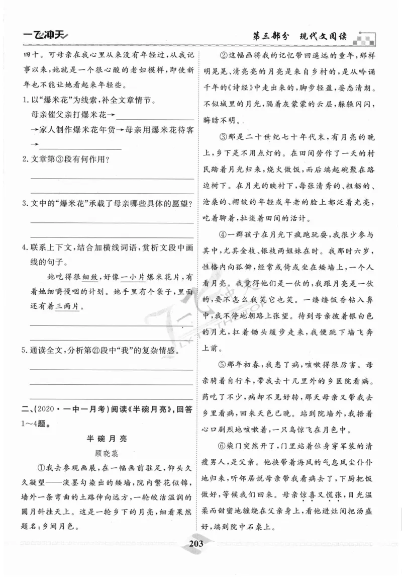 一飞冲天-中考专项精品试题分类-语文_《一飞冲天-中考专项》2026版_一飞冲天-中考专项精品试题分类（2024版）