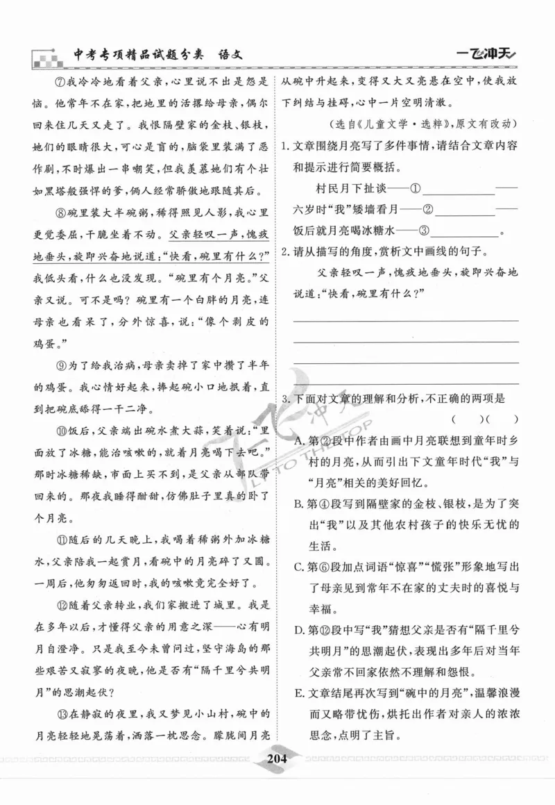 一飞冲天-中考专项精品试题分类-语文_《一飞冲天-中考专项》2026版_一飞冲天-中考专项精品试题分类（2024版）