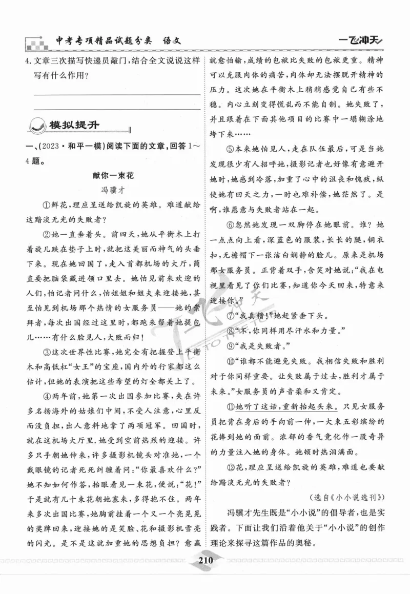 一飞冲天-中考专项精品试题分类-语文_《一飞冲天-中考专项》2026版_一飞冲天-中考专项精品试题分类（2024版）