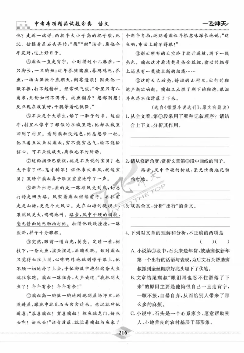 一飞冲天-中考专项精品试题分类-语文_《一飞冲天-中考专项》2026版_一飞冲天-中考专项精品试题分类（2024版）