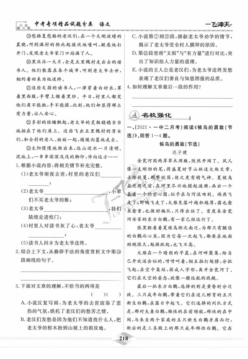 一飞冲天-中考专项精品试题分类-语文_《一飞冲天-中考专项》2026版_一飞冲天-中考专项精品试题分类（2024版）