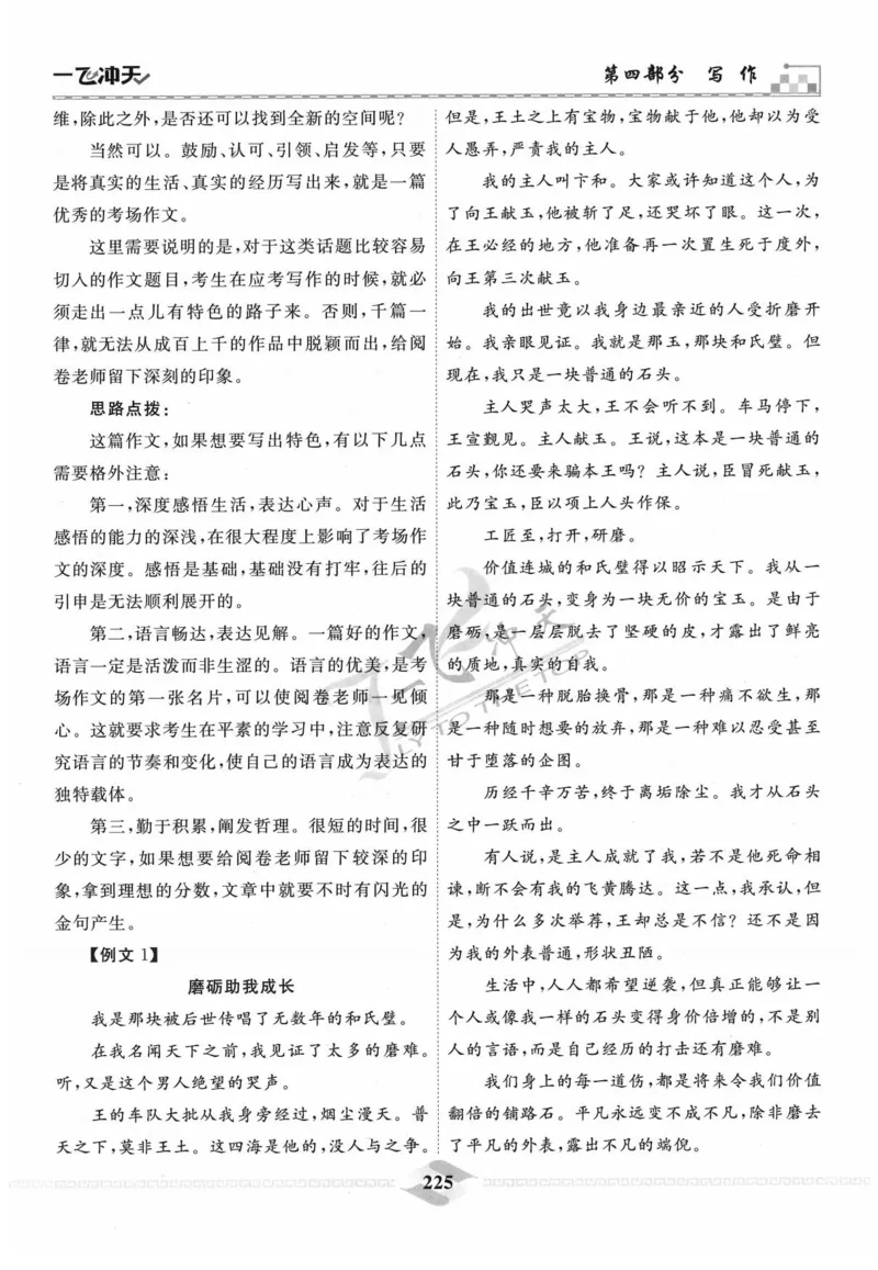 一飞冲天-中考专项精品试题分类-语文_《一飞冲天-中考专项》2026版_一飞冲天-中考专项精品试题分类（2024版）