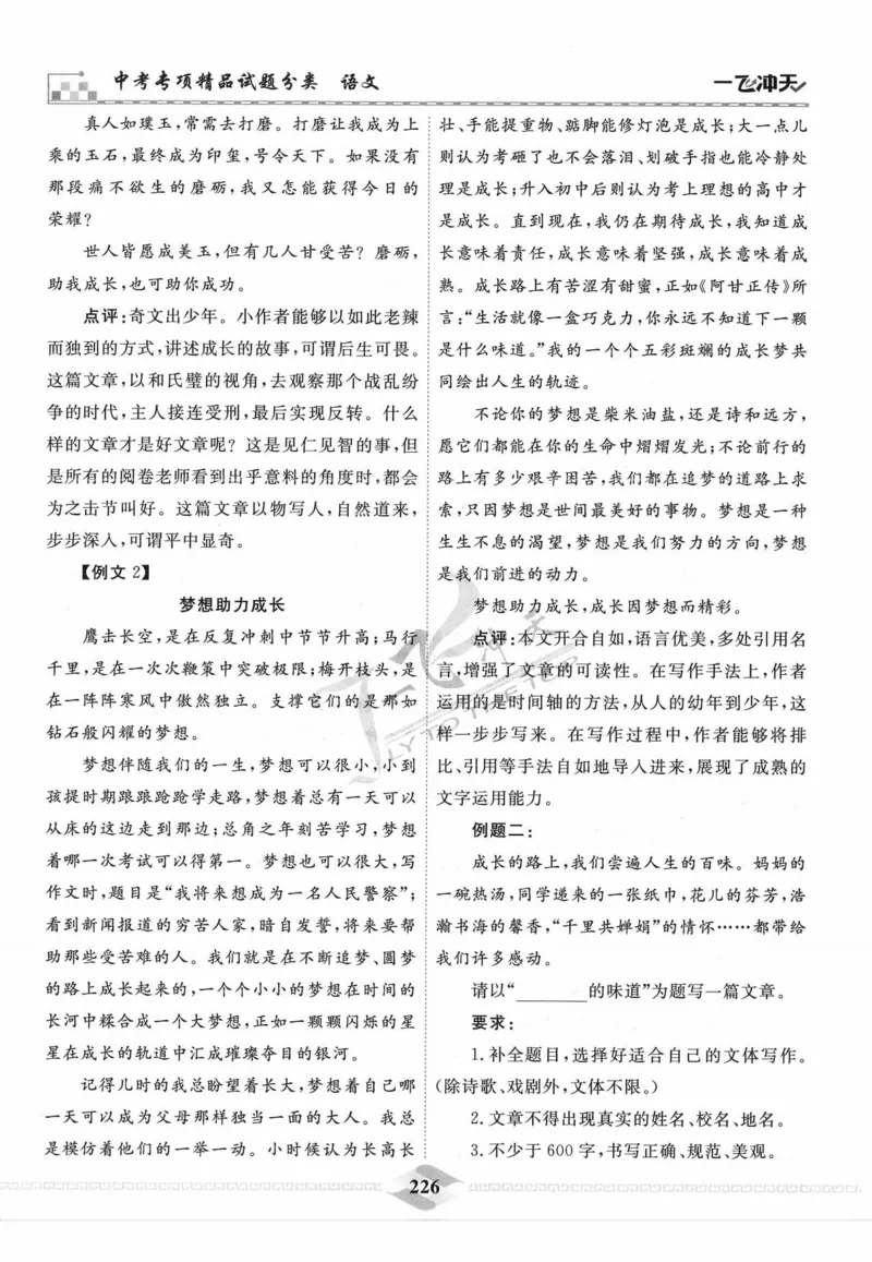 一飞冲天-中考专项精品试题分类-语文_《一飞冲天-中考专项》2026版_一飞冲天-中考专项精品试题分类（2024版）