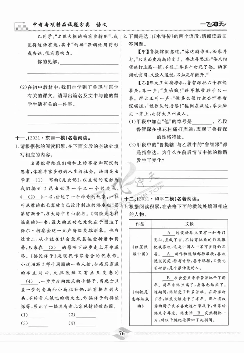 一飞冲天-中考专项精品试题分类-语文_《一飞冲天-中考专项》2026版_一飞冲天-中考专项精品试题分类（2024版）