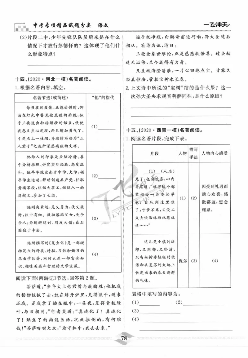 一飞冲天-中考专项精品试题分类-语文_《一飞冲天-中考专项》2026版_一飞冲天-中考专项精品试题分类（2024版）