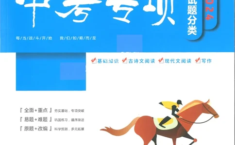 一飞冲天-中考专项精品试题分类-语文_《一飞冲天-中考专项》2026版_一飞冲天-中考专项精品试题分类（2024版）