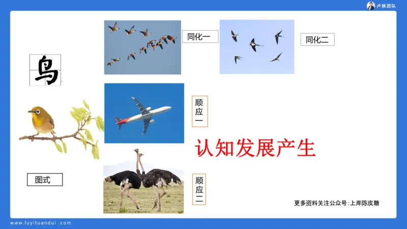2.18中科二急救(3)_4-教培资料-26年最新资料-同步更新_初中高中教资_2025上中学教资笔试_0525上急救班卢姨（中学科一科二）_25上中学科二急救班_科二课件