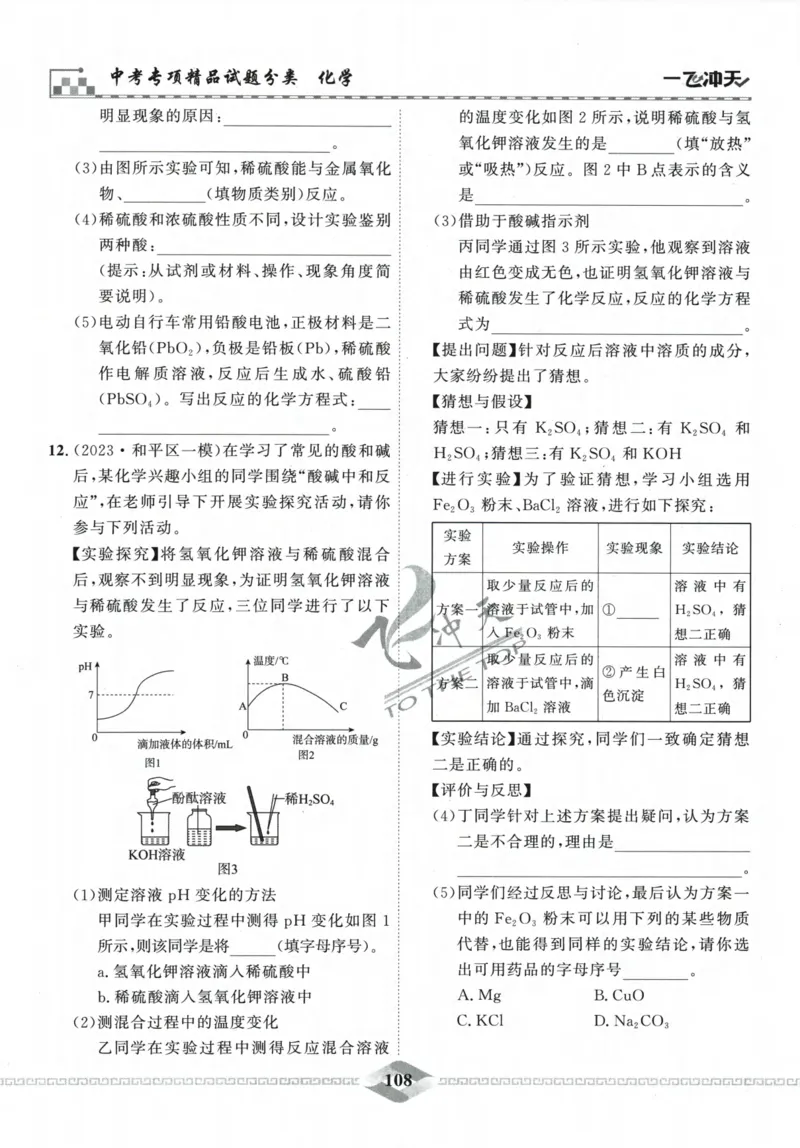 一飞冲天-中考专项精品试题分类-化学_《一飞冲天-中考专项》2026版_一飞冲天-中考专项精品试题分类（2024版）