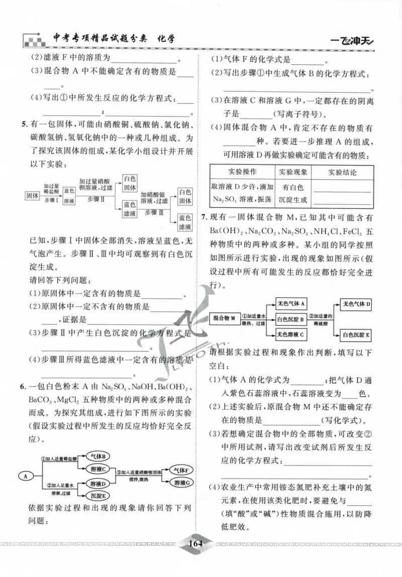 一飞冲天-中考专项精品试题分类-化学_《一飞冲天-中考专项》2026版_一飞冲天-中考专项精品试题分类（2024版）
