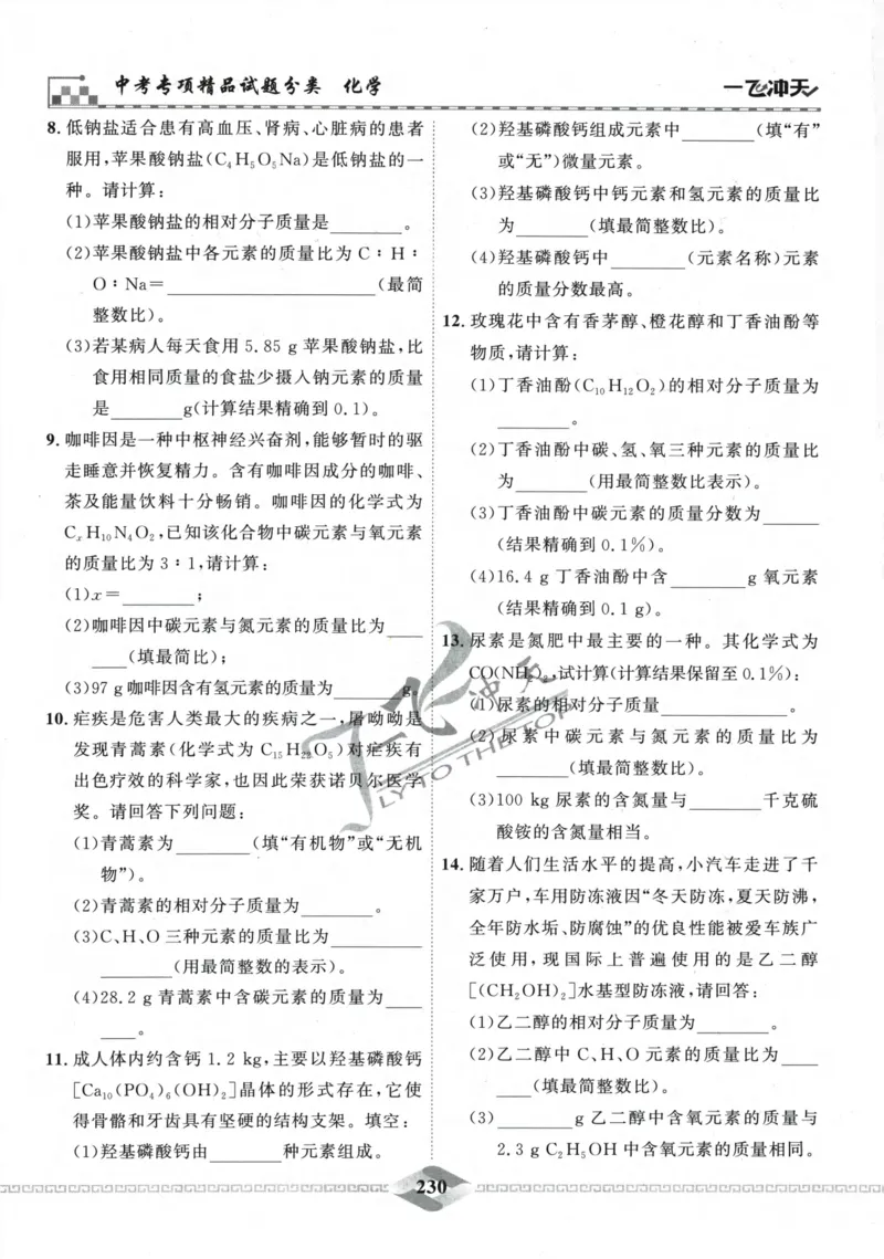 一飞冲天-中考专项精品试题分类-化学_《一飞冲天-中考专项》2026版_一飞冲天-中考专项精品试题分类（2024版）