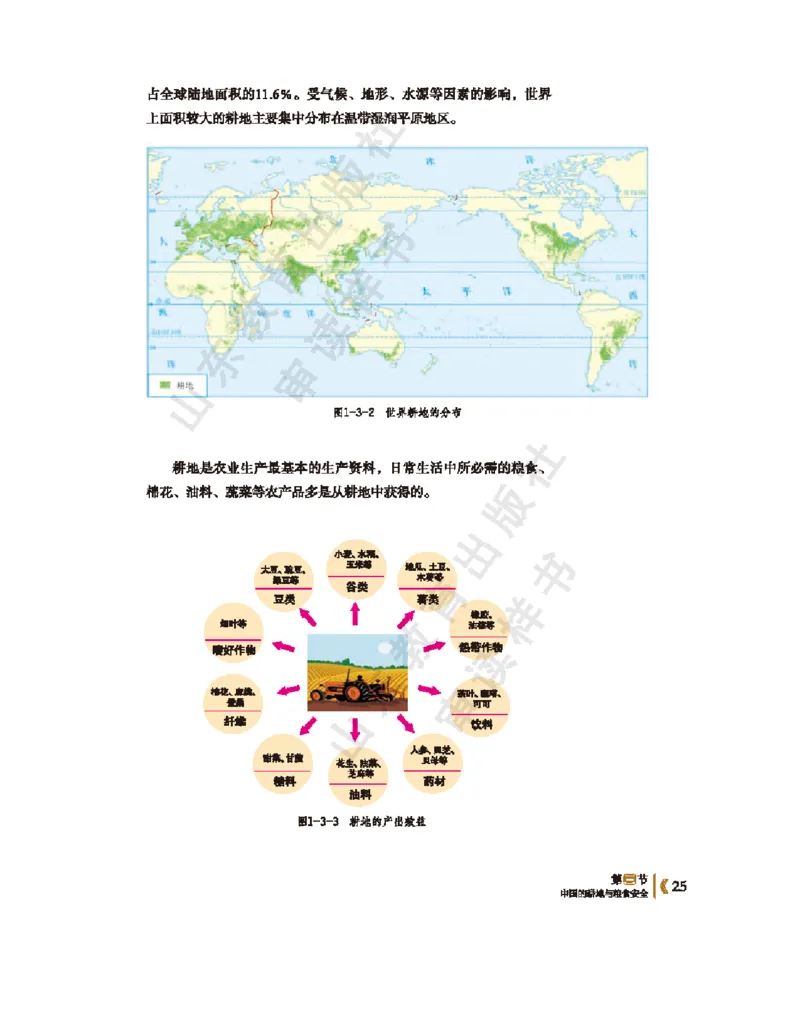 2020新鲁教版高中地理选择性必修三_4-教培资料-26年最新资料-同步更新_初中高中教资_03科三专项（进去保存报考的学科即可）_02科三专项（笔记真题思维导图教学设计版本二）
