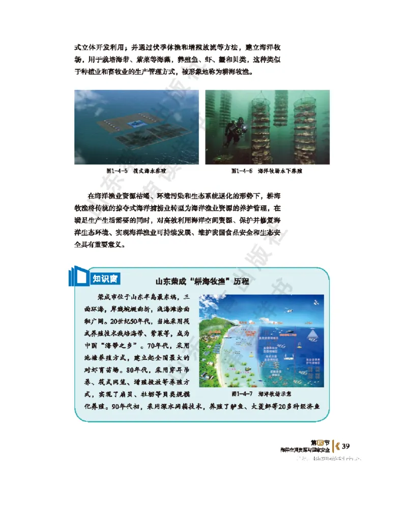 2020新鲁教版高中地理选择性必修三_4-教培资料-26年最新资料-同步更新_初中高中教资_03科三专项（进去保存报考的学科即可）_02科三专项（笔记真题思维导图教学设计版本二）