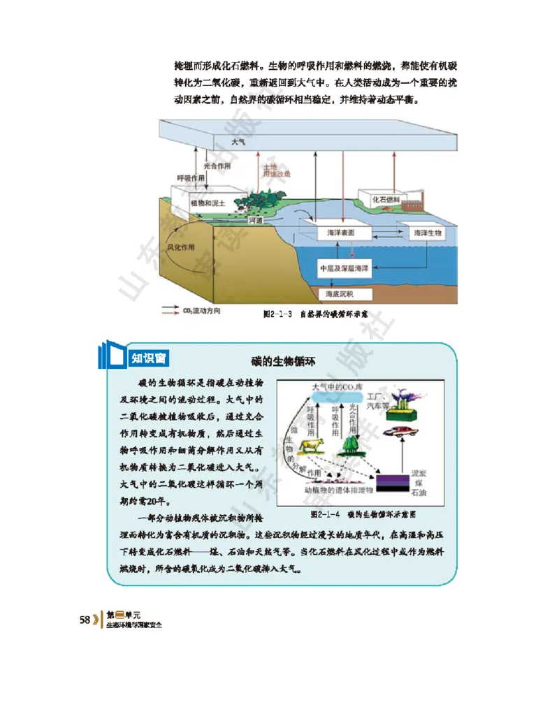2020新鲁教版高中地理选择性必修三_4-教培资料-26年最新资料-同步更新_初中高中教资_03科三专项（进去保存报考的学科即可）_02科三专项（笔记真题思维导图教学设计版本二）
