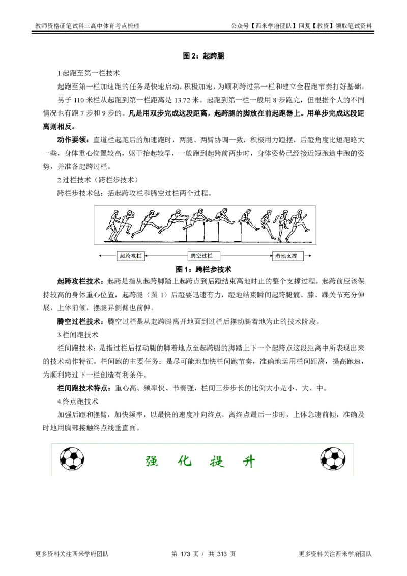 高中体育-考点梳理1_教资_25下资料合集二_25下最新科三知识点汇编+思维导图-高中_07.体育_04.考点梳理