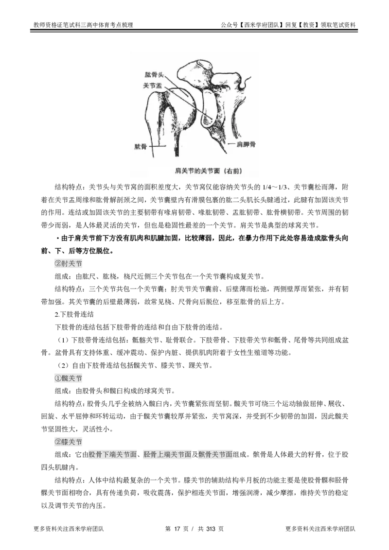 高中体育-考点梳理1_教资_25下资料合集二_25下最新科三知识点汇编+思维导图-高中_07.体育_04.考点梳理