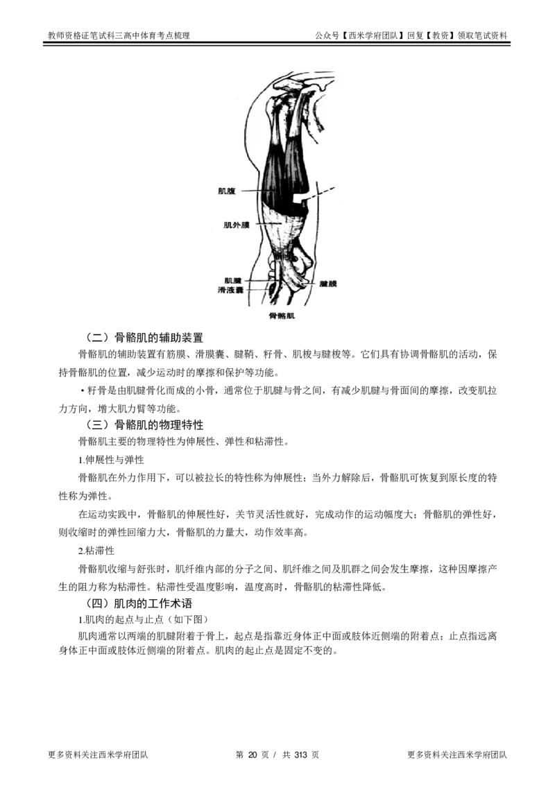 高中体育-考点梳理1_教资_25下资料合集二_25下最新科三知识点汇编+思维导图-高中_07.体育_04.考点梳理