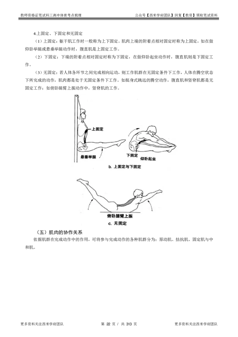 高中体育-考点梳理1_教资_25下资料合集二_25下最新科三知识点汇编+思维导图-高中_07.体育_04.考点梳理