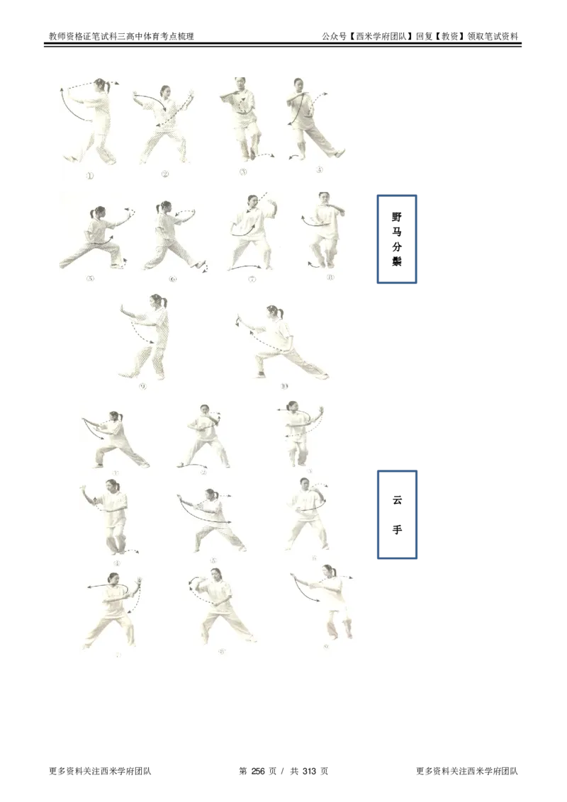 高中体育-考点梳理1_教资_25下资料合集二_25下最新科三知识点汇编+思维导图-高中_07.体育_04.考点梳理