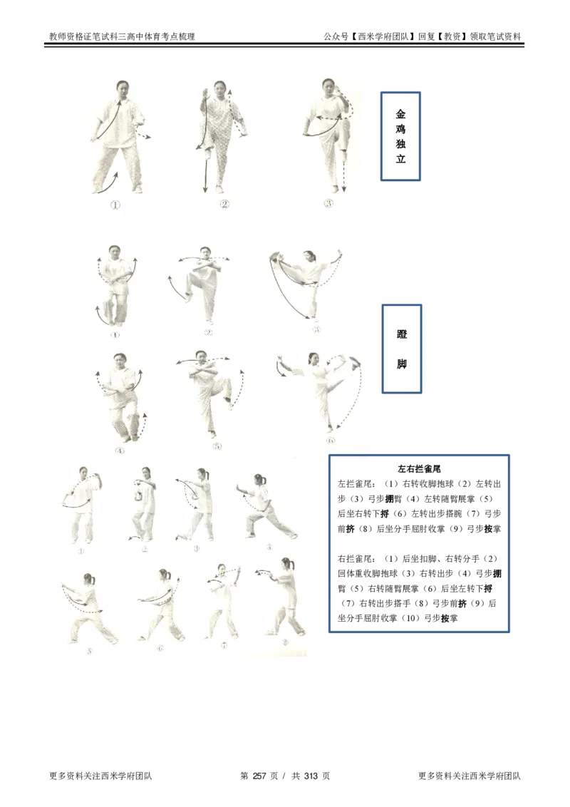 高中体育-考点梳理1_教资_25下资料合集二_25下最新科三知识点汇编+思维导图-高中_07.体育_04.考点梳理