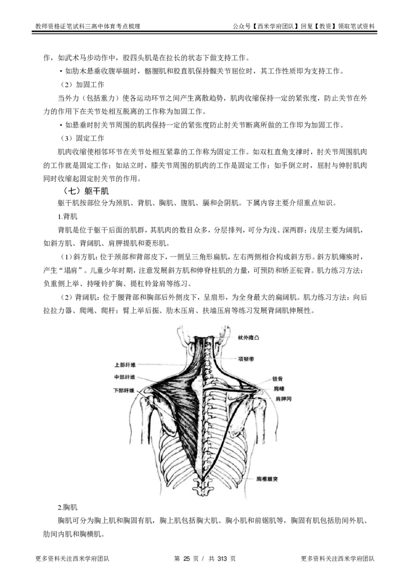 高中体育-考点梳理1_教资_25下资料合集二_25下最新科三知识点汇编+思维导图-高中_07.体育_04.考点梳理