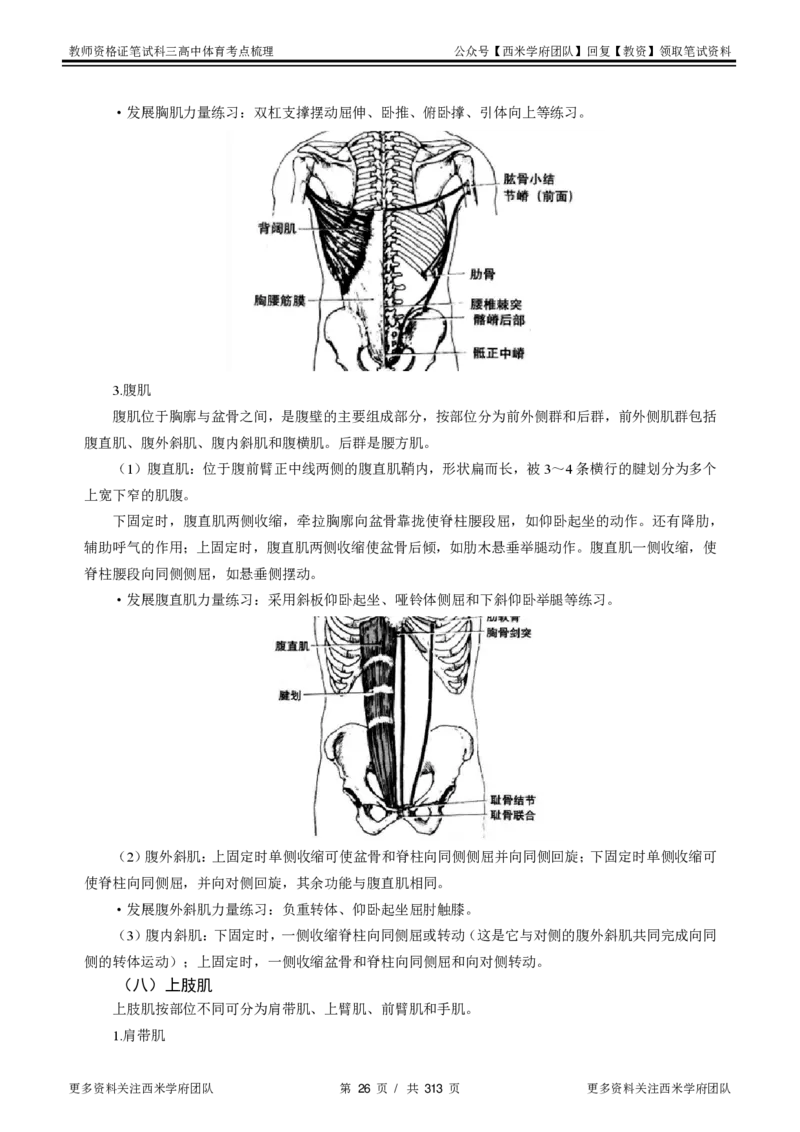 高中体育-考点梳理1_教资_25下资料合集二_25下最新科三知识点汇编+思维导图-高中_07.体育_04.考点梳理