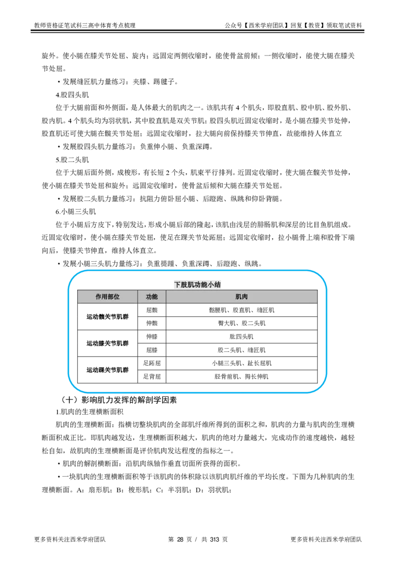高中体育-考点梳理1_教资_25下资料合集二_25下最新科三知识点汇编+思维导图-高中_07.体育_04.考点梳理